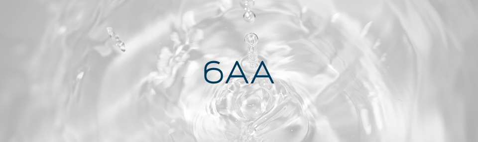 6AA